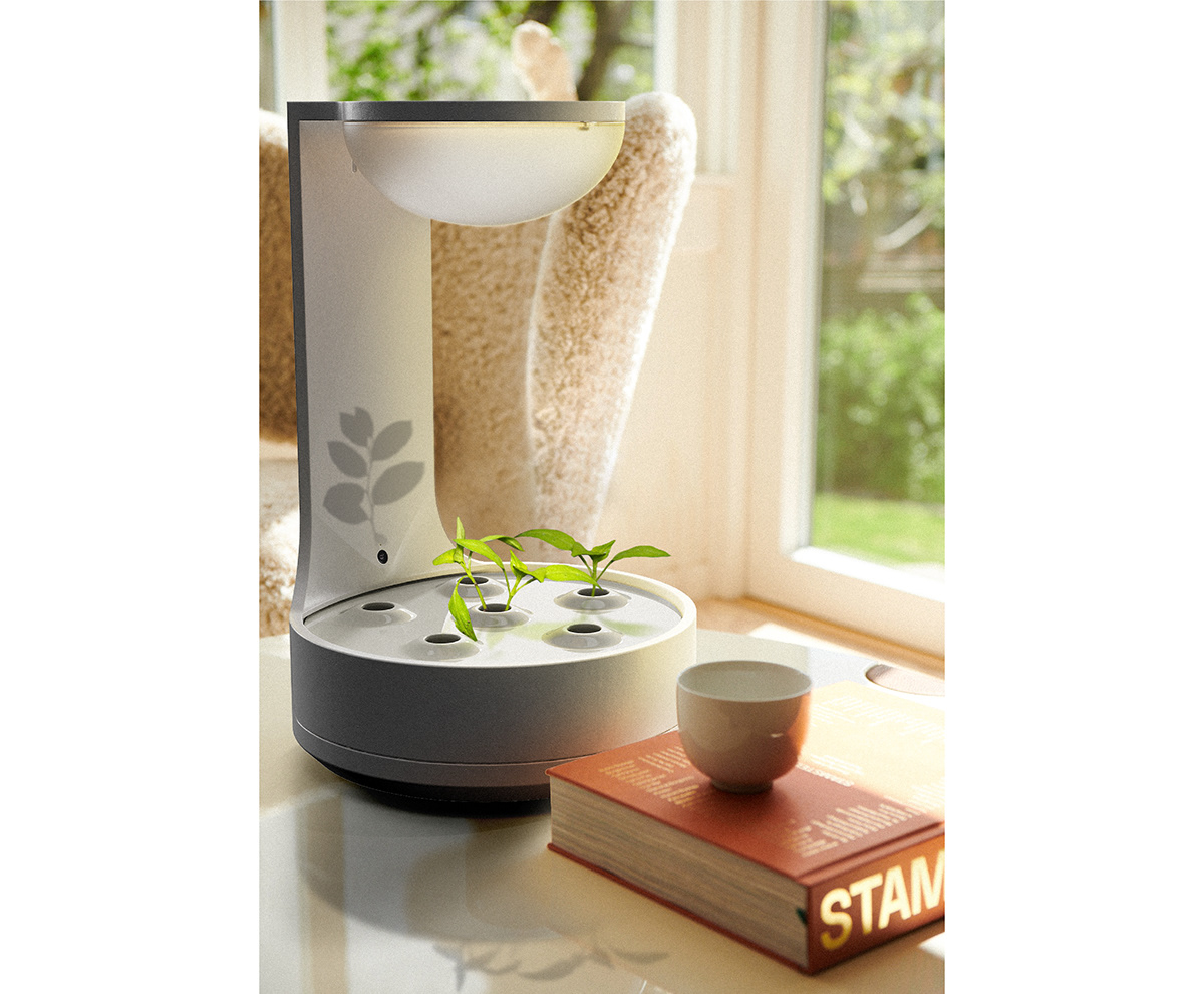 conceptual design，Botany，product design，Planta，