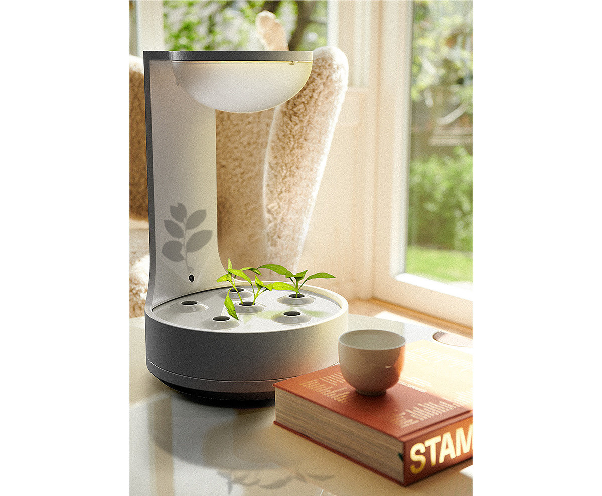 conceptual design，Botany，product design，Planta，