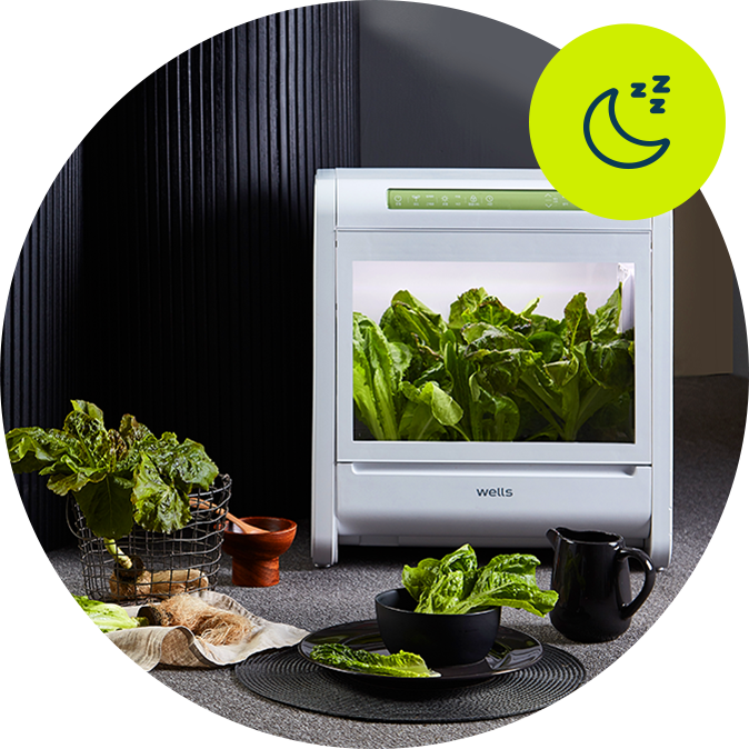 intelligence，Plant planter，Simplicity，2022 Red Dot Product Design Award，