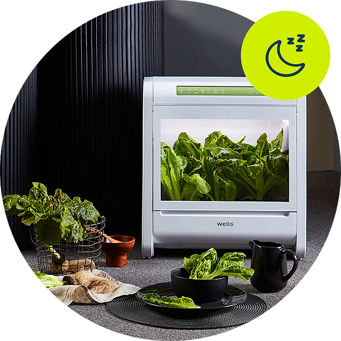 intelligence，Plant planter，Simplicity，2022 Red Dot Product Design Award，