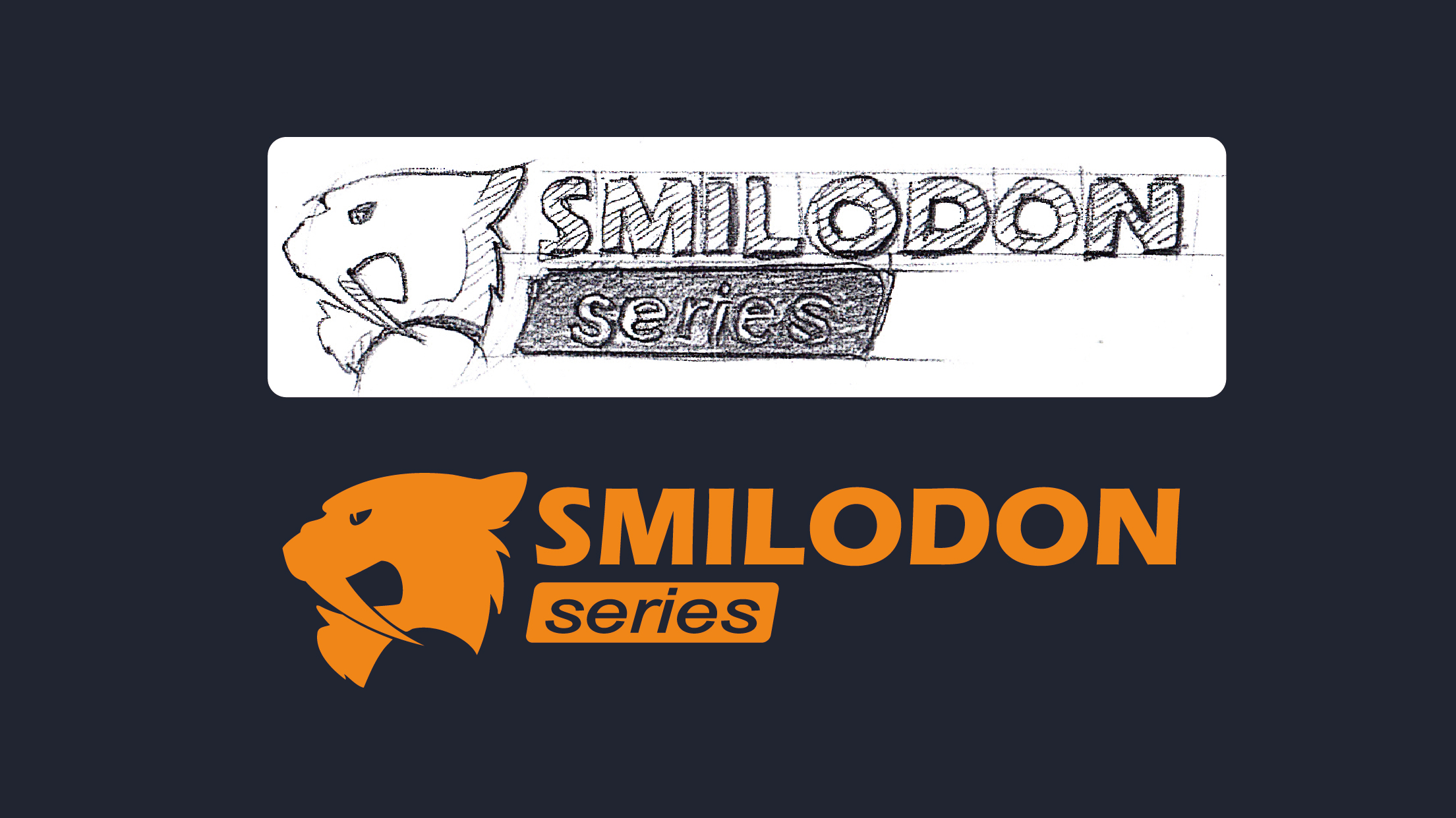 Lithium battery garden series，