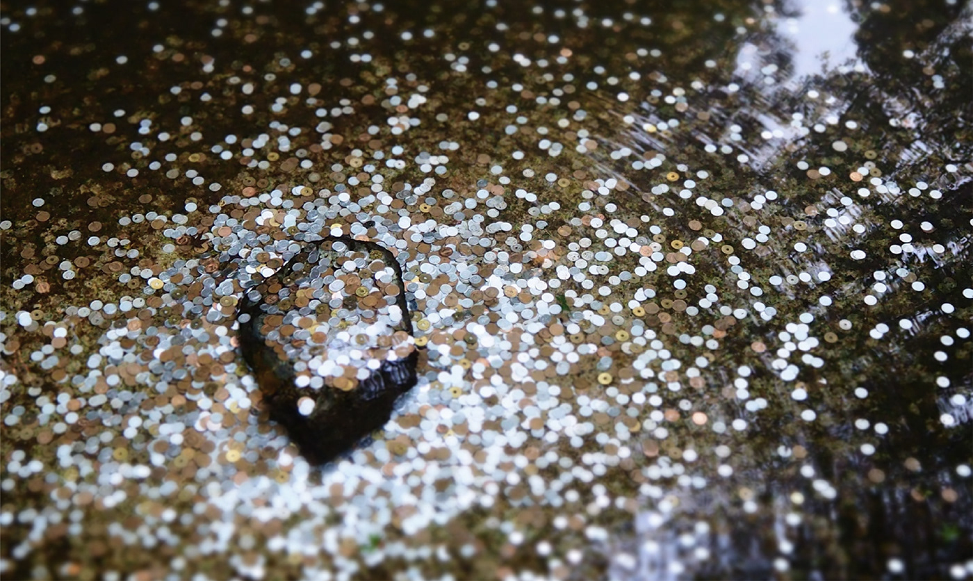 3d，concept，Coin，