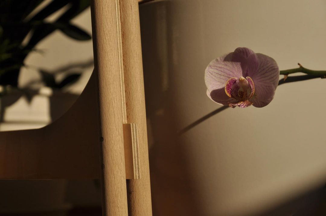 stool，Plastic，wood，Design，Home Furnishing，furniture，furniture design ，