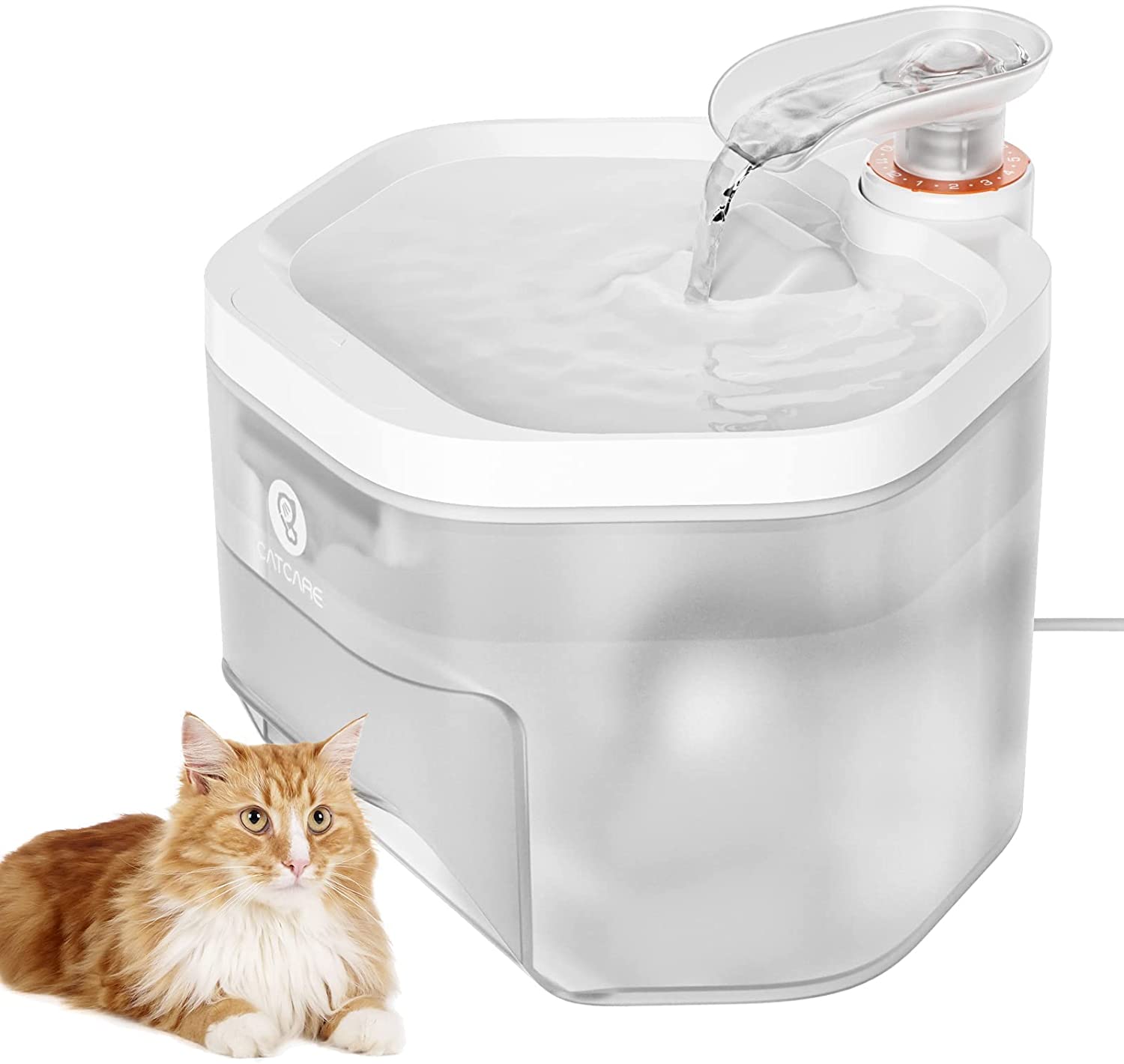 Pets，Water dispenser，cat，dog，