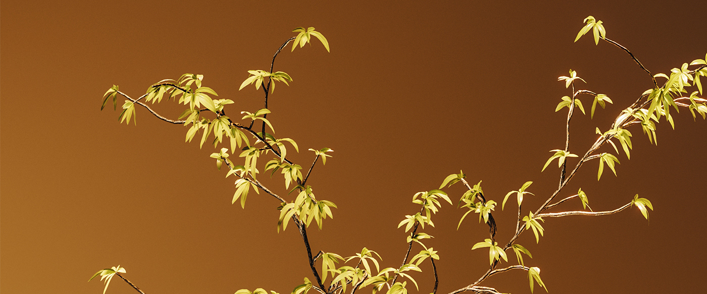 3d，cgi，Digital art，bookshelf，