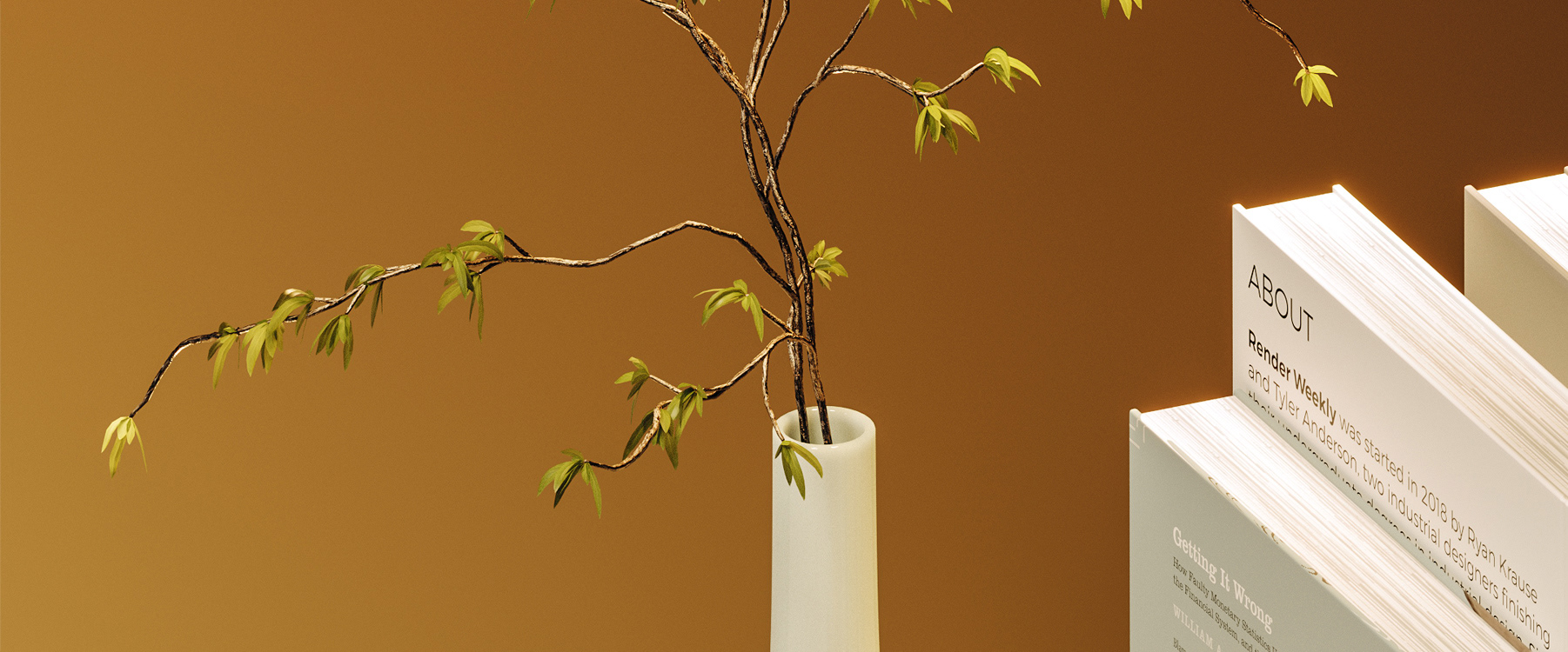 3d，cgi，Digital art，bookshelf，