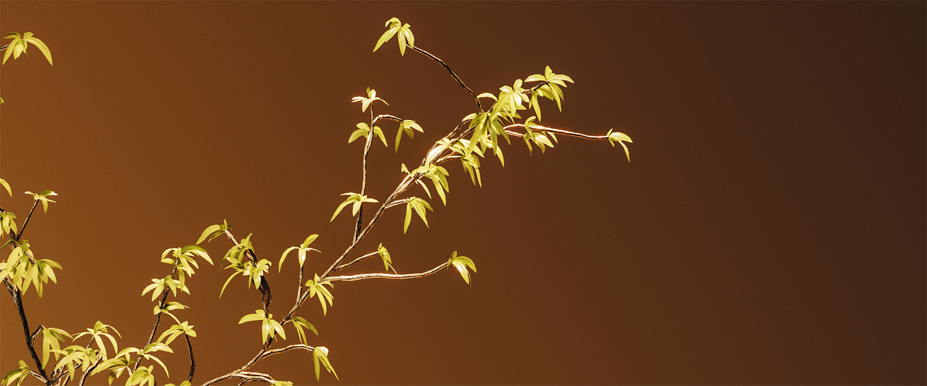 3d，cgi，Digital art，bookshelf，