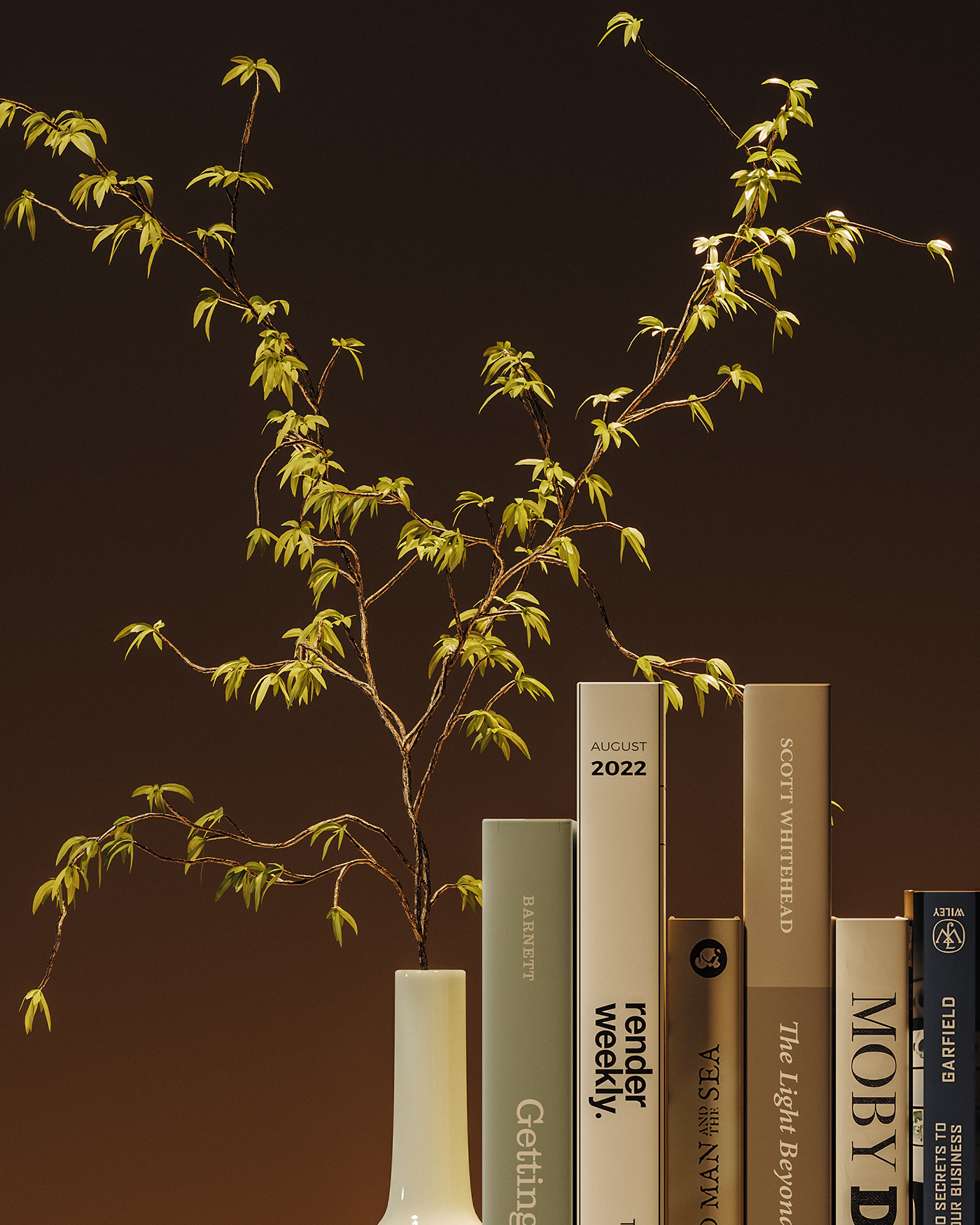 3d，cgi，Digital art，bookshelf，