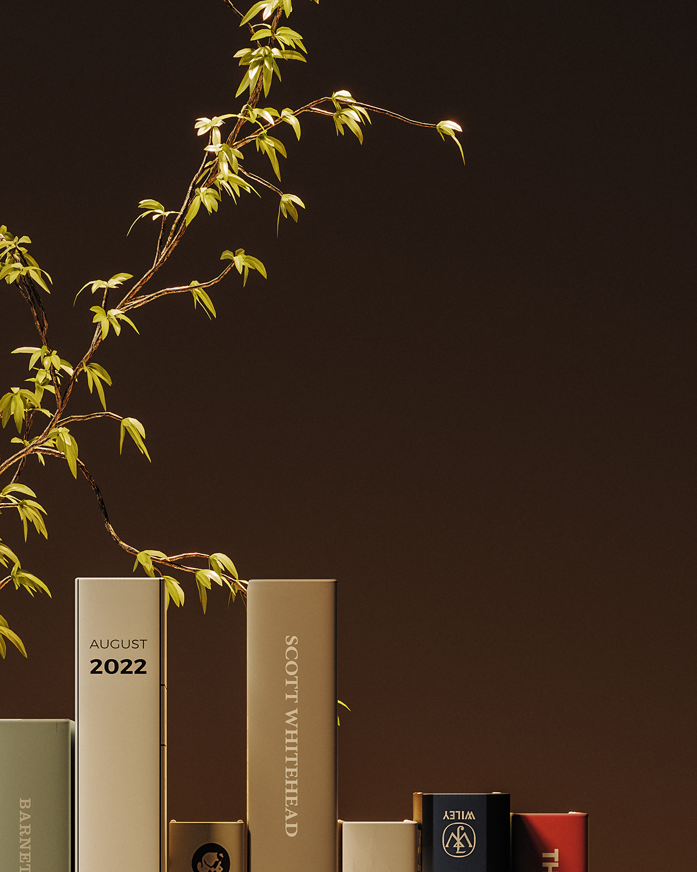 3d，cgi，Digital art，bookshelf，