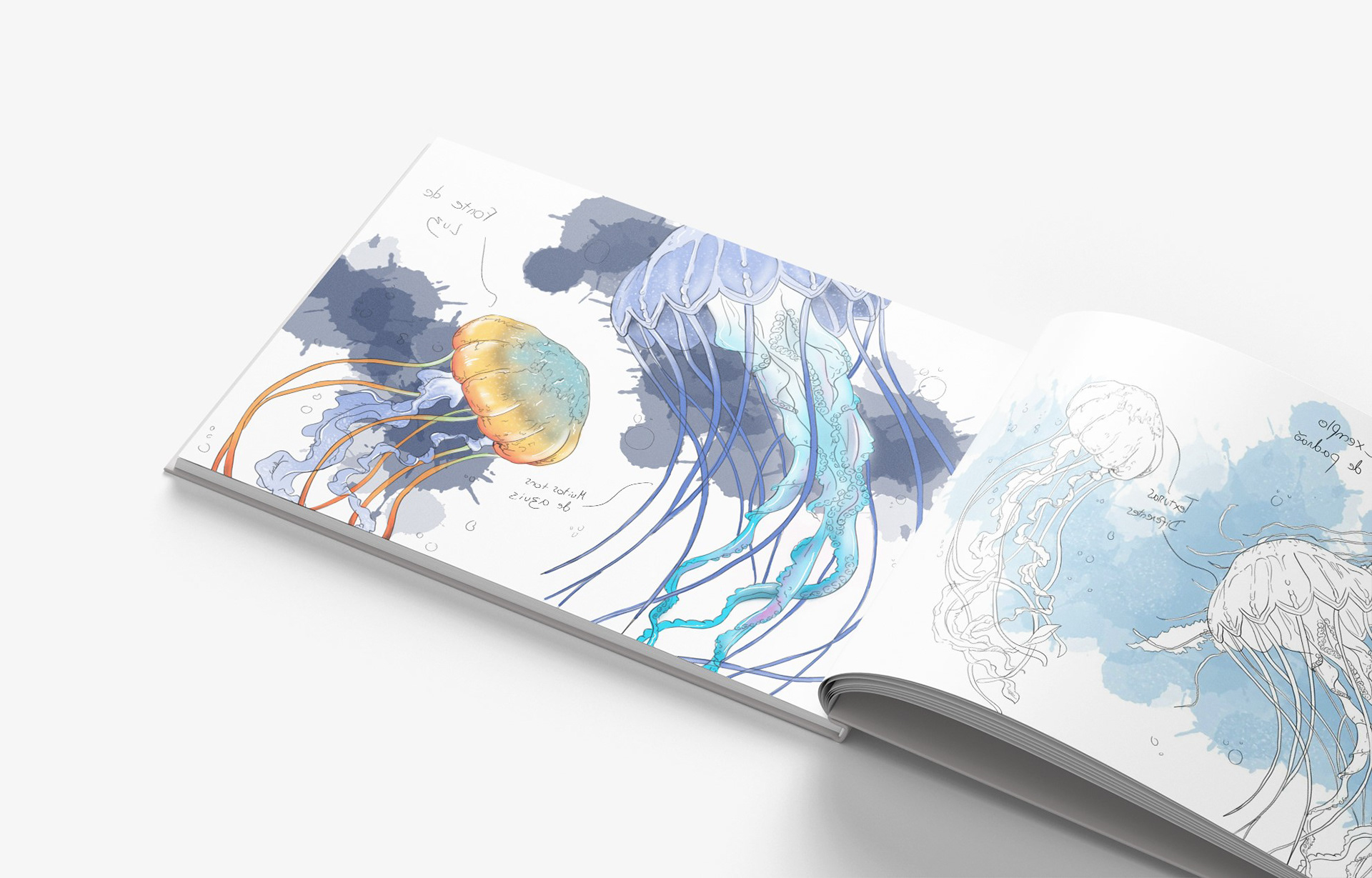 Storage rack，product design，product，marine organism，design，