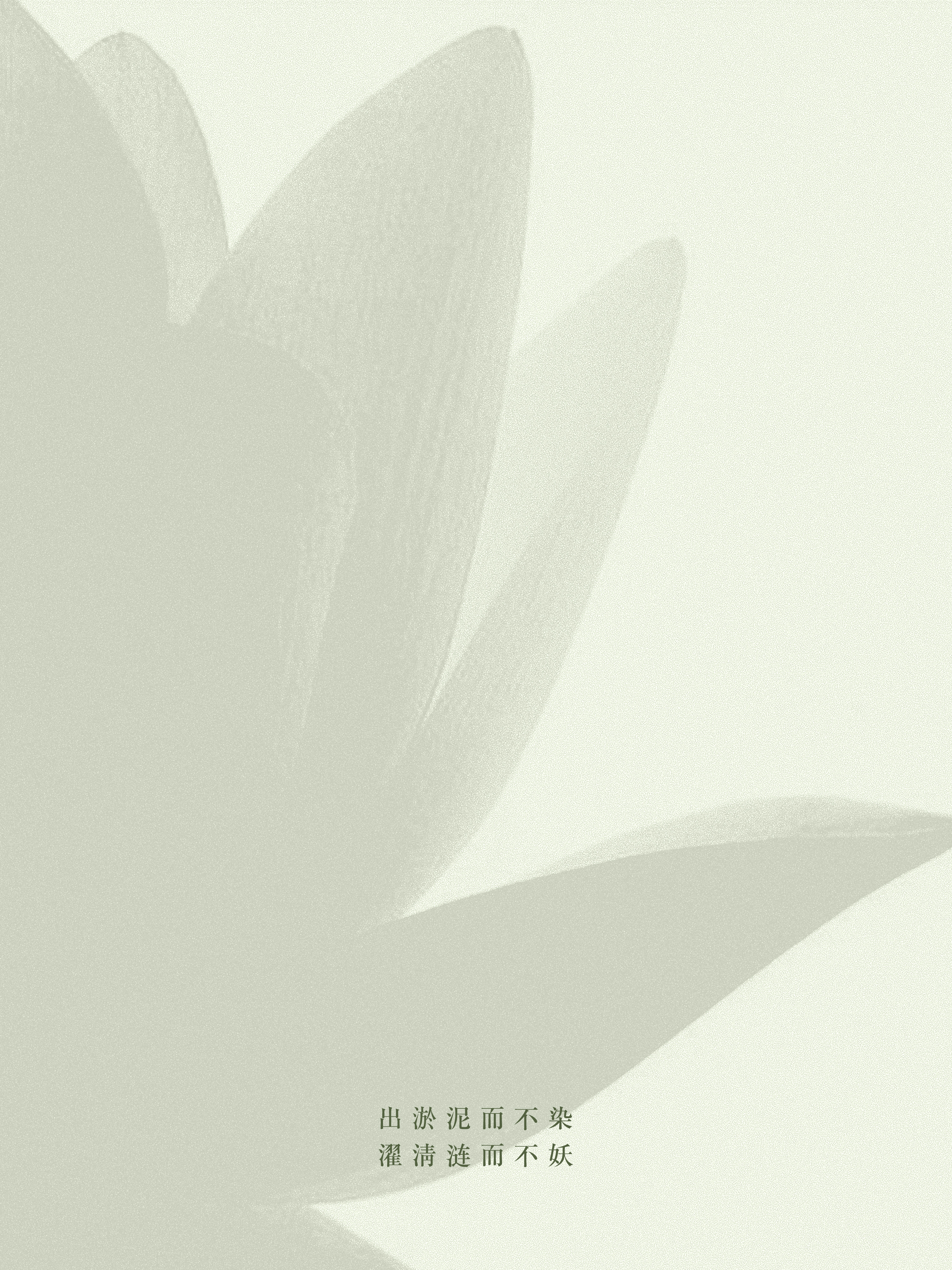 tea set，Express，