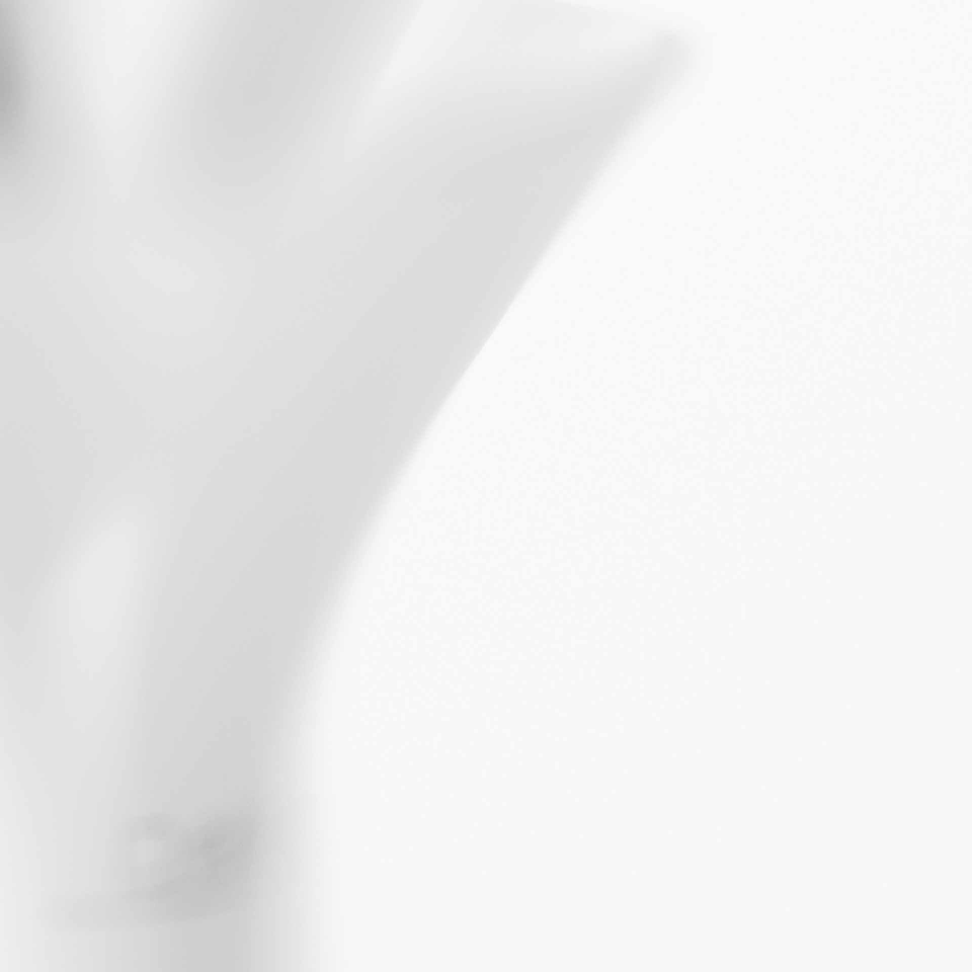 Hydroponic culture，Hydroponics flower ，funnel，Botany，vase，product design，