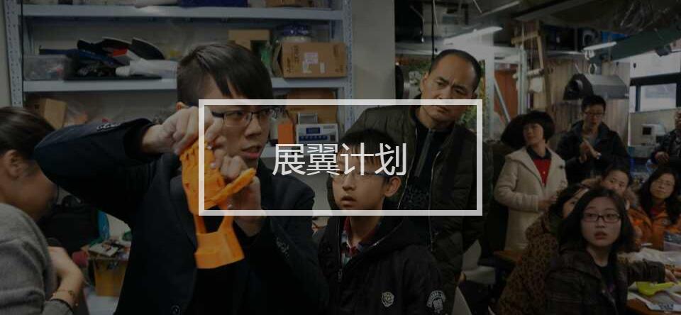 a prosthesis，Prosthetic design，