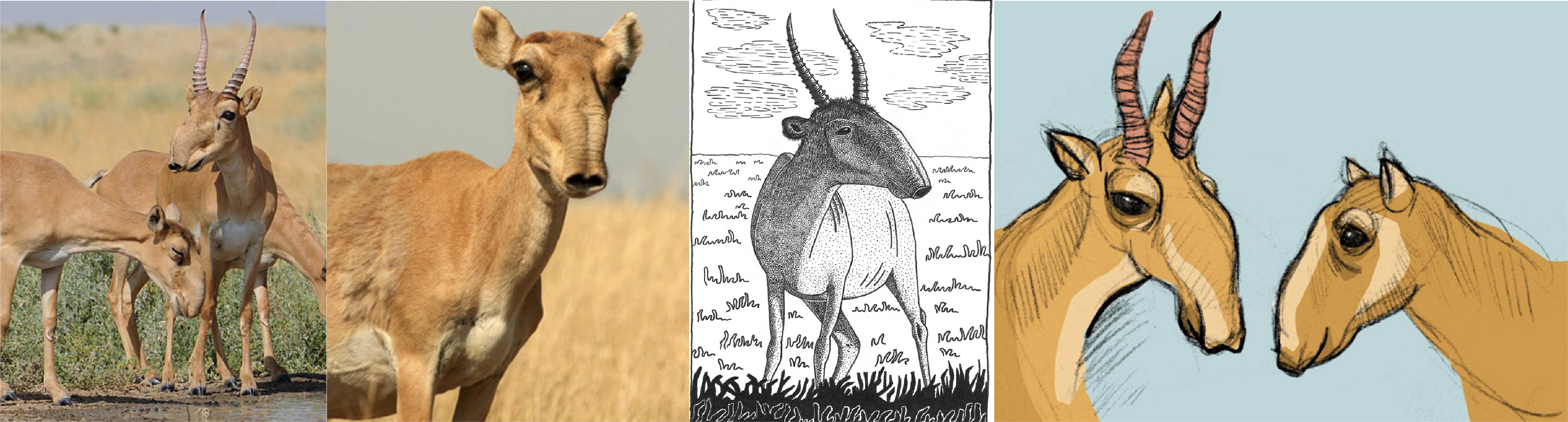 Brand design，Packaging design, packaging structure，IP Design，Logo design，Humidifier packaging，Health market，Home appliance packaging，Marketing planning，