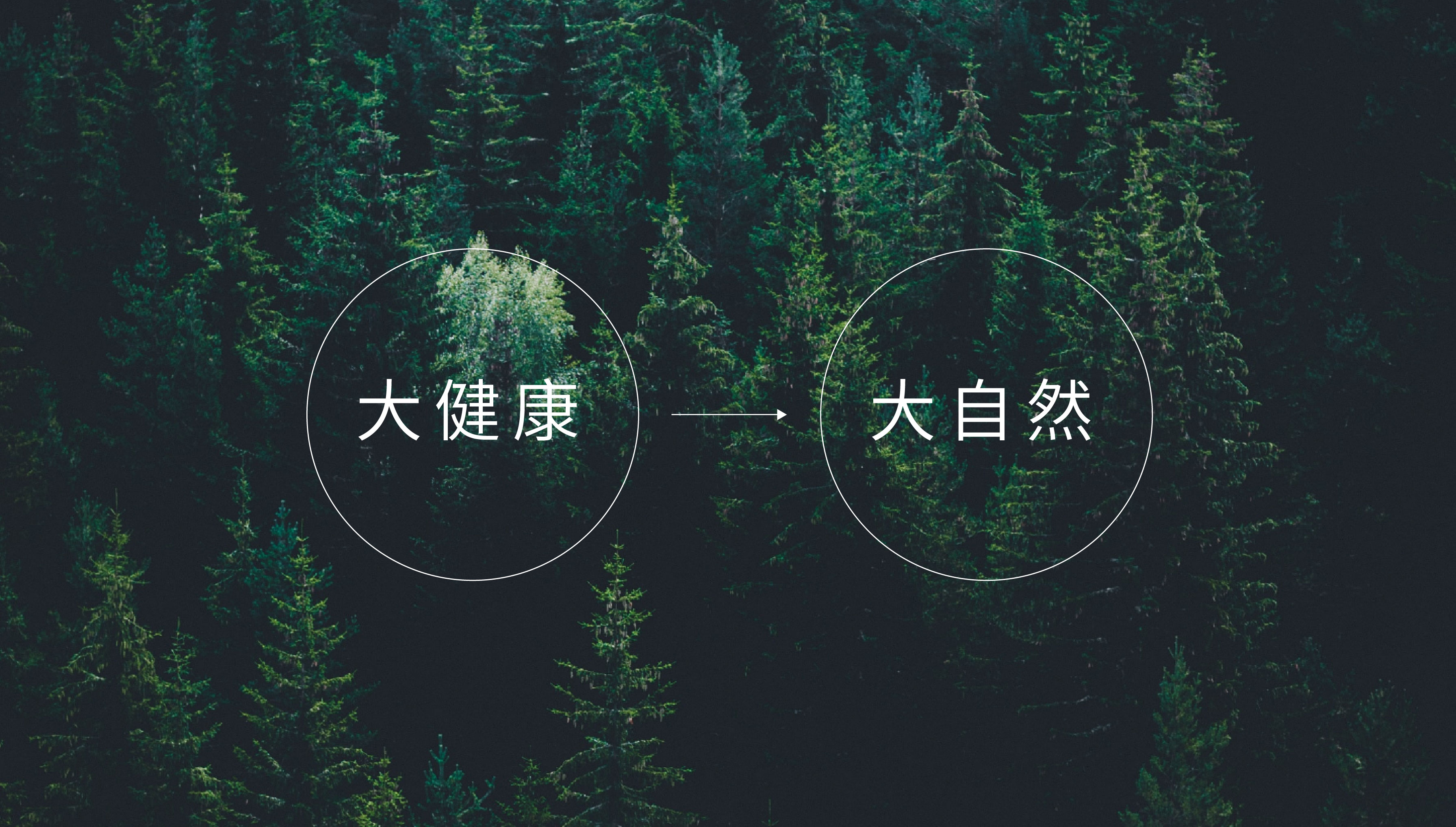 Brand design，Packaging design, packaging structure，IP Design，Logo design，Humidifier packaging，Health market，Home appliance packaging，Marketing planning，