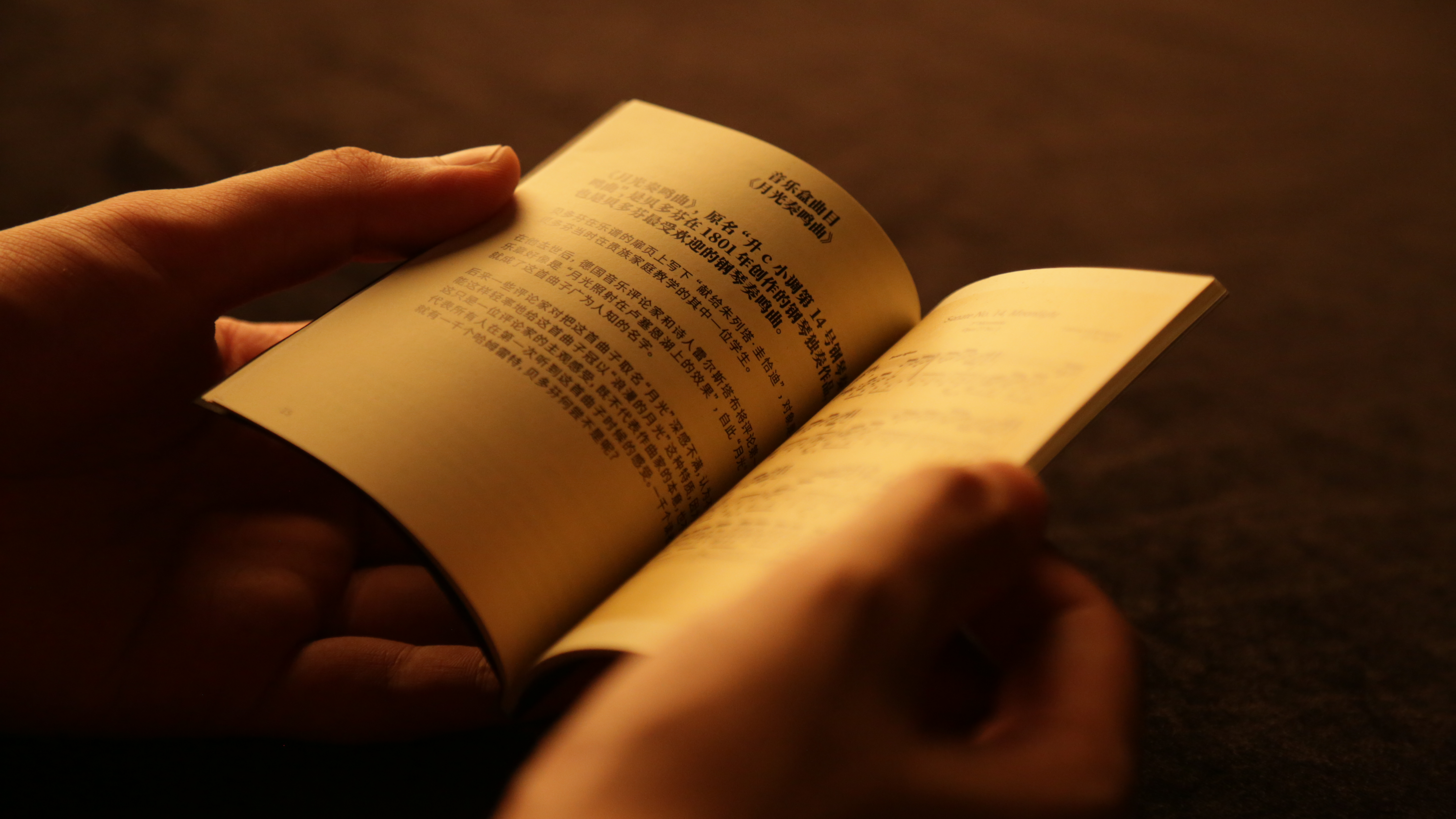 Music box，Eight tone box，music，musician，Classical music，