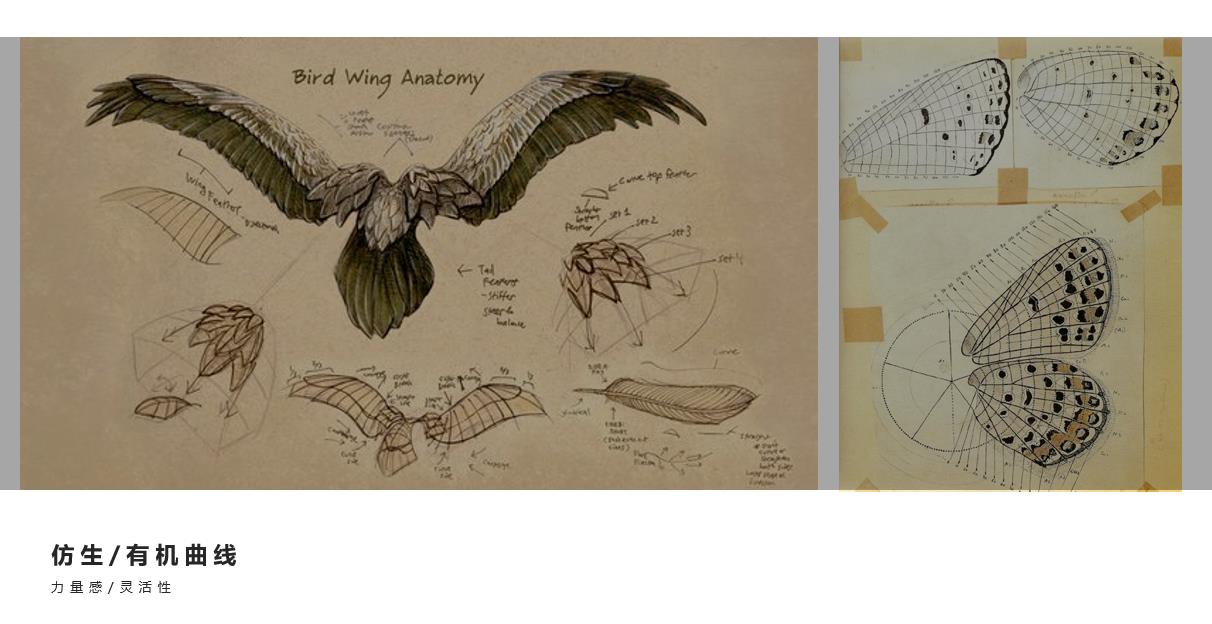Agricultural UAV，Plant protection UAV，UAV，Appearance design，Structural design，