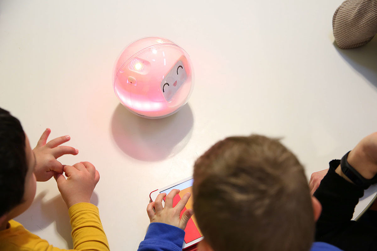 Play，Intelligent toy，Interactive robot，