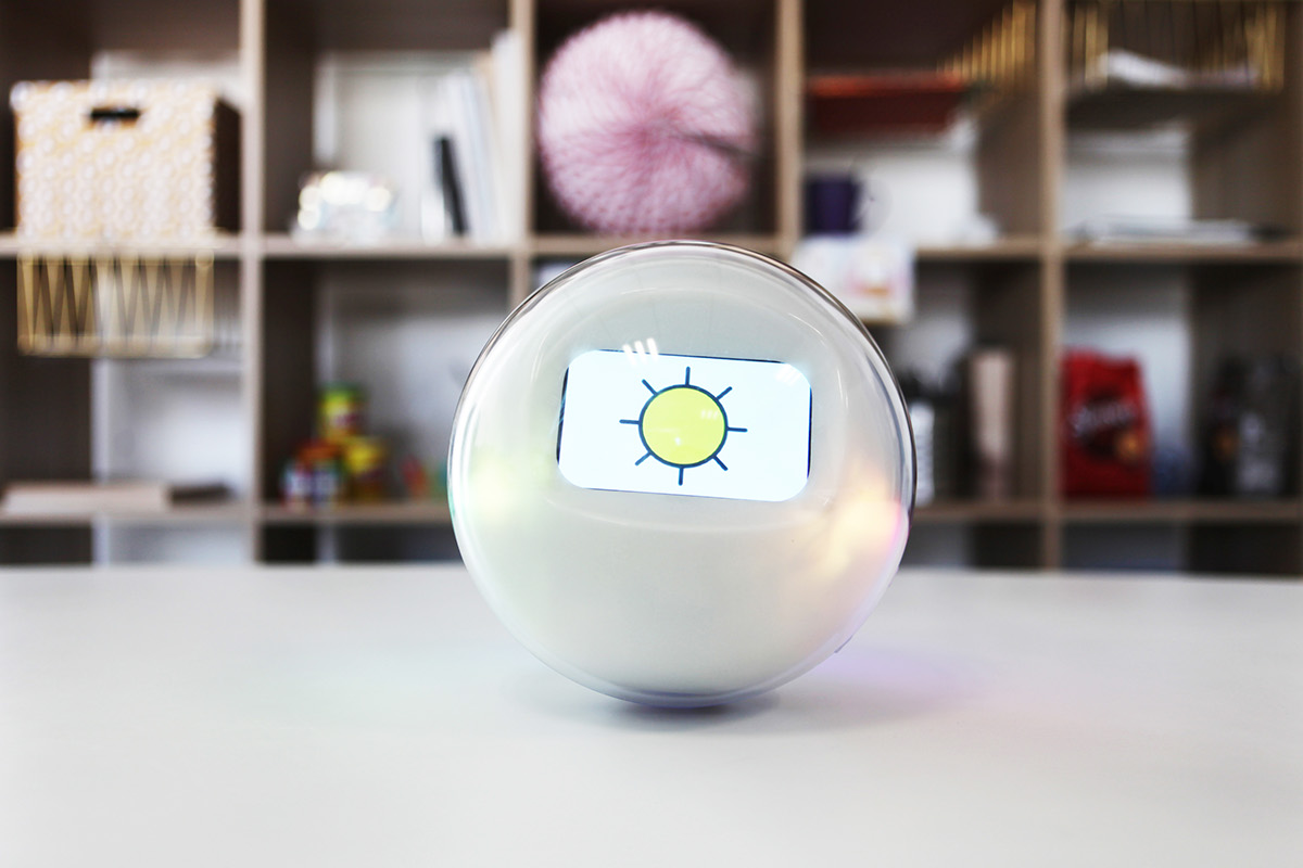 Play，Intelligent toy，Interactive robot，