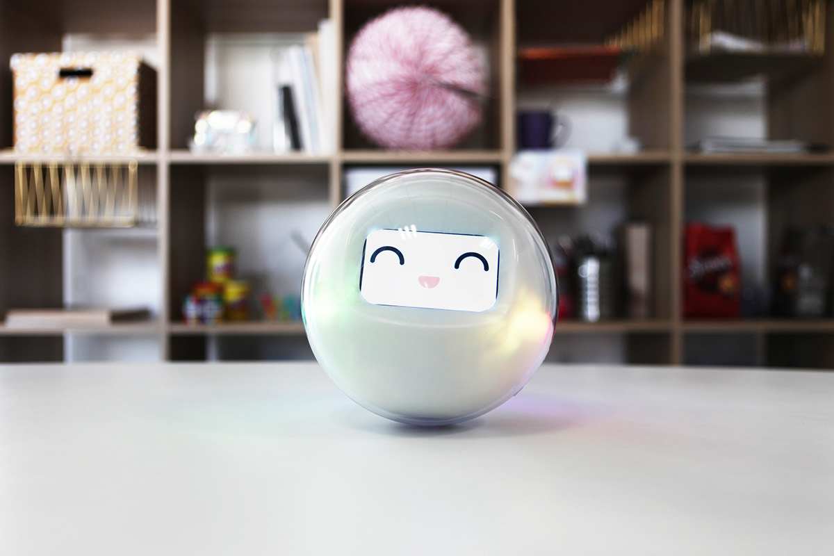 Play，Intelligent toy，Interactive robot，