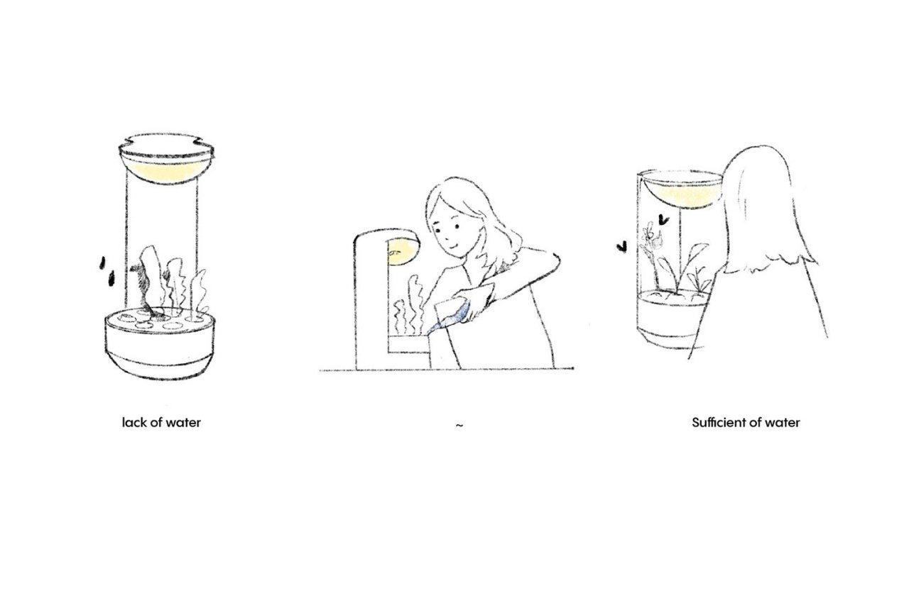 Botany，plant，Planta，fictitious，interactive，Indoor planting，