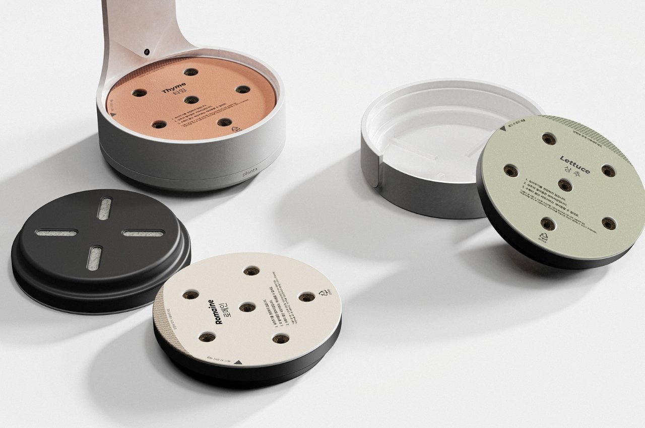 Botany，plant，Planta，fictitious，interactive，Indoor planting，