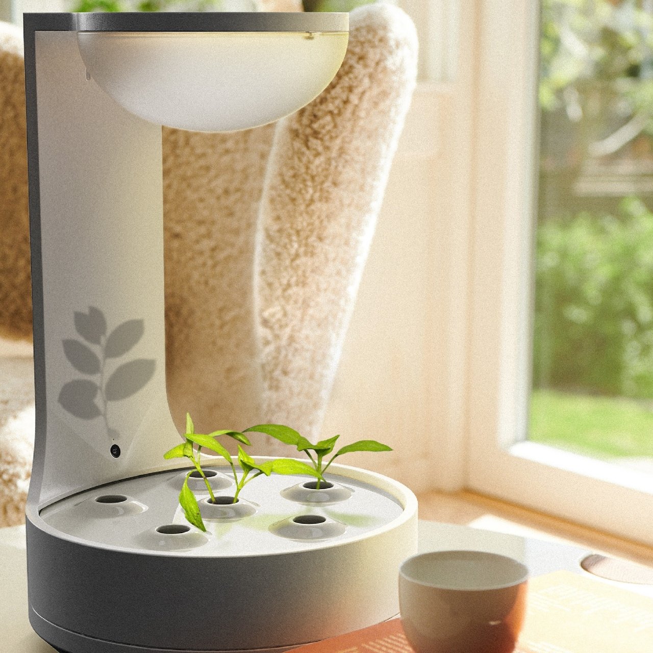 Botany，plant，Planta，fictitious，interactive，Indoor planting，