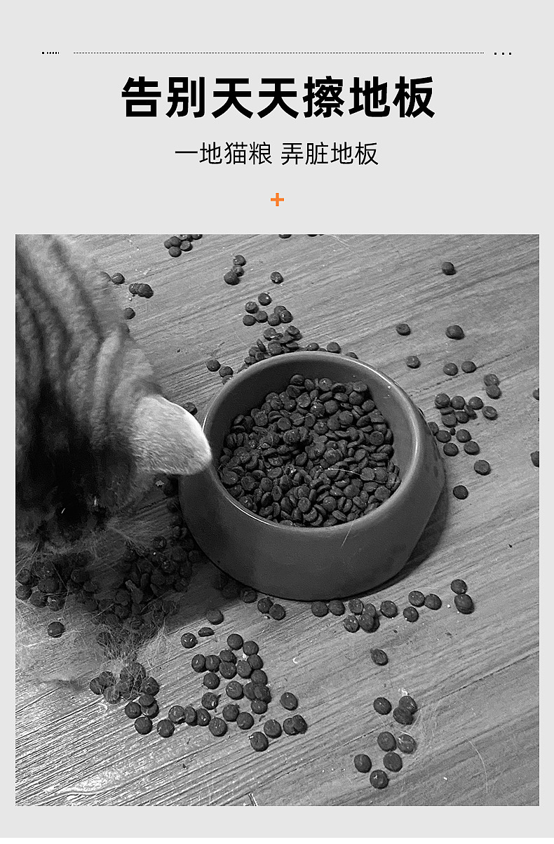 猫，狗，宠物碗，