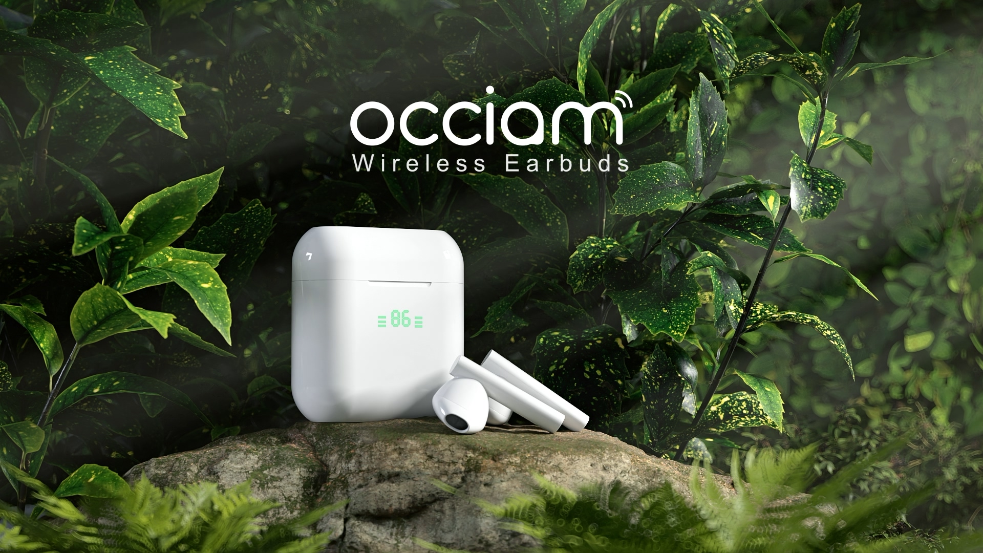 Script/Modeling/Rendering/Animation/Music: Loman，