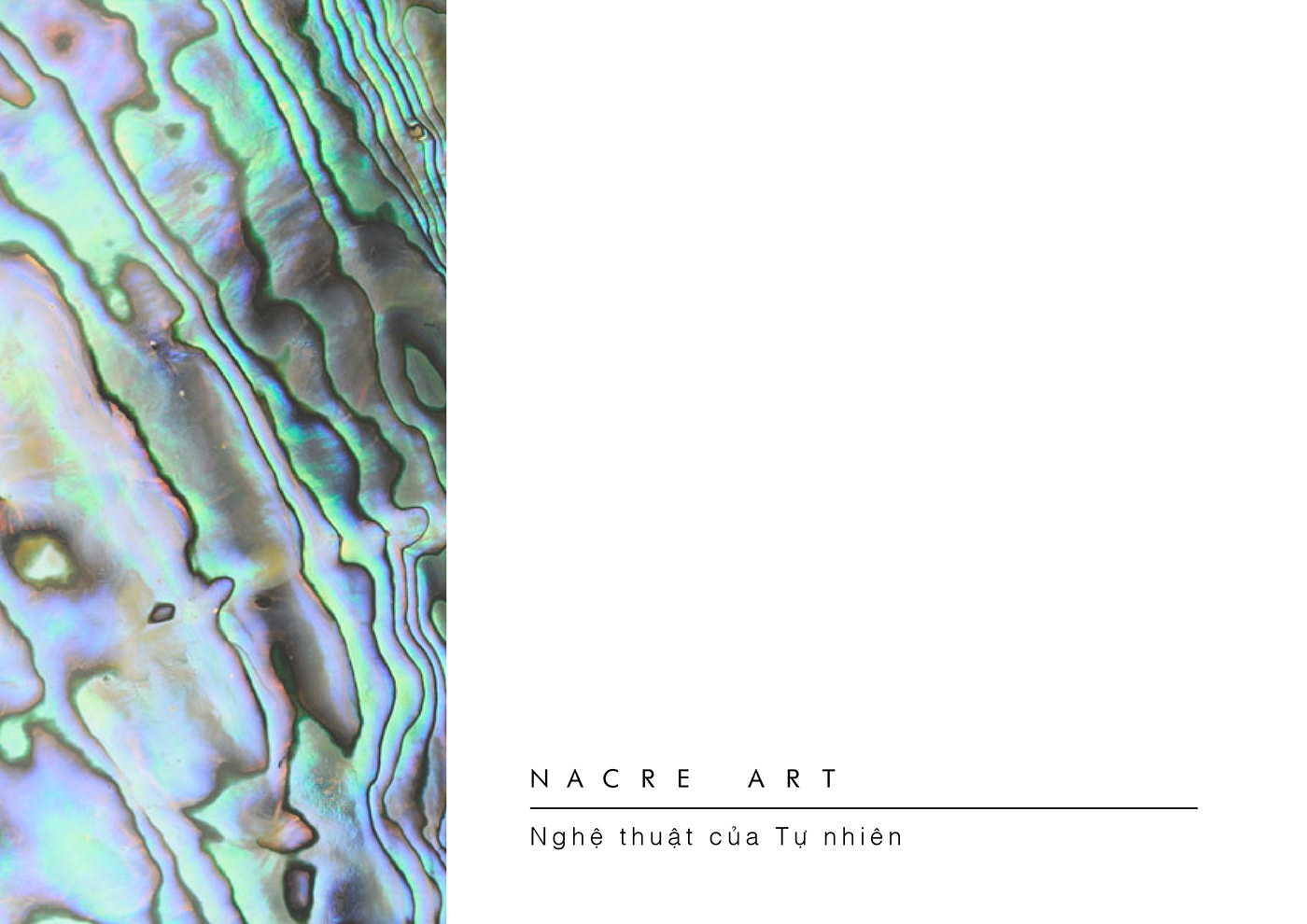 pen，Luxury pen，product design，Vietnam，