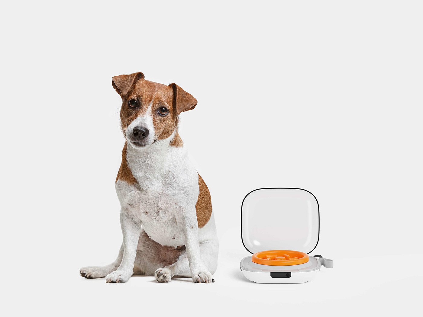 Hank，Pet bowl，product design，feed，