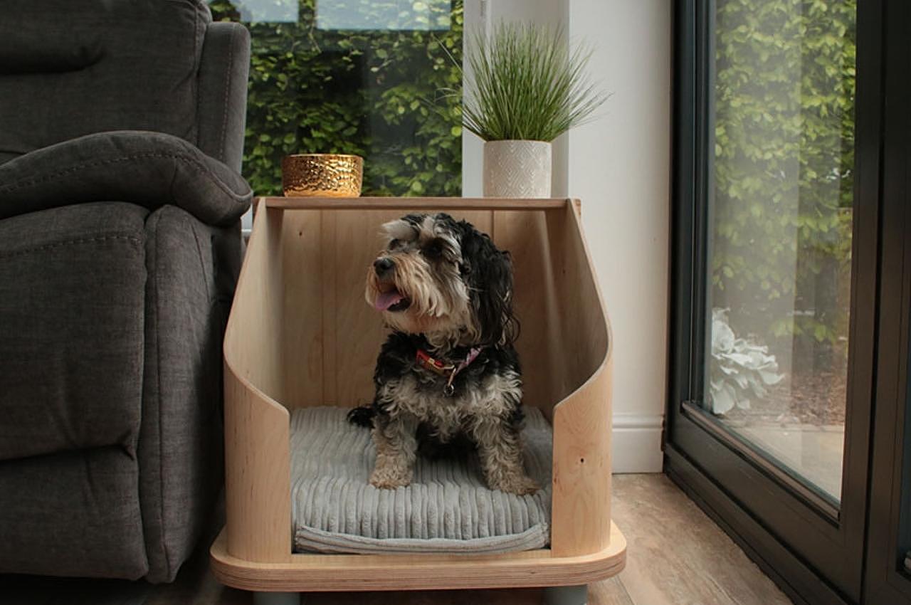 Side table design，product design，Sustainability，Pet bed，Ashleigh Davies，