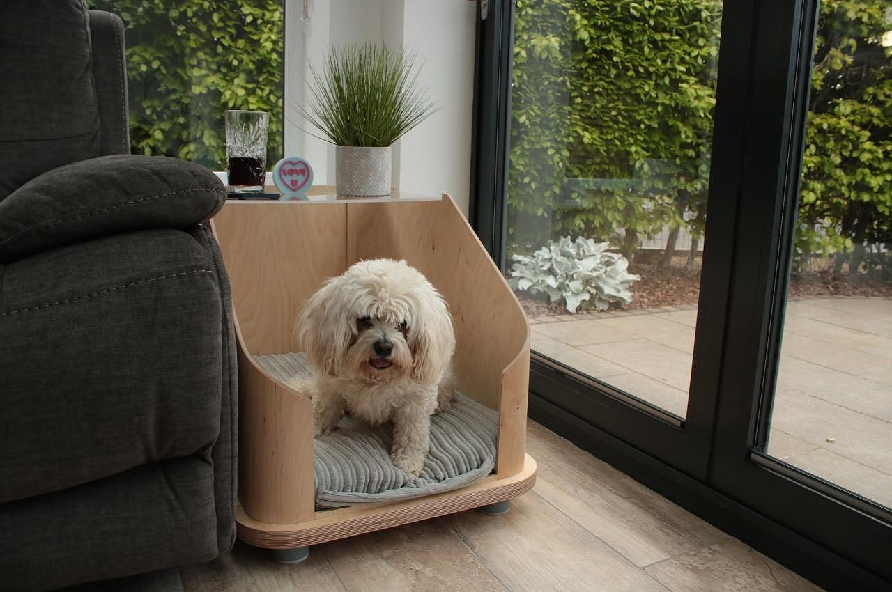 Side table design，product design，Sustainability，Pet bed，Ashleigh Davies，