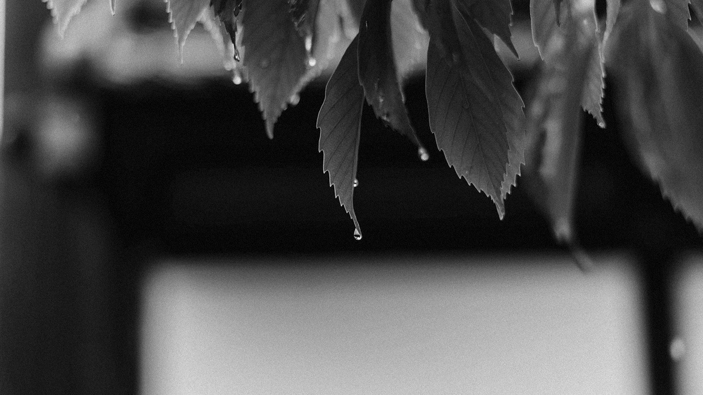 TERU，Junyoung Jang，product design，Silicone Dehumidifier，Japanese doll，Teru teru bozu，User experience design，