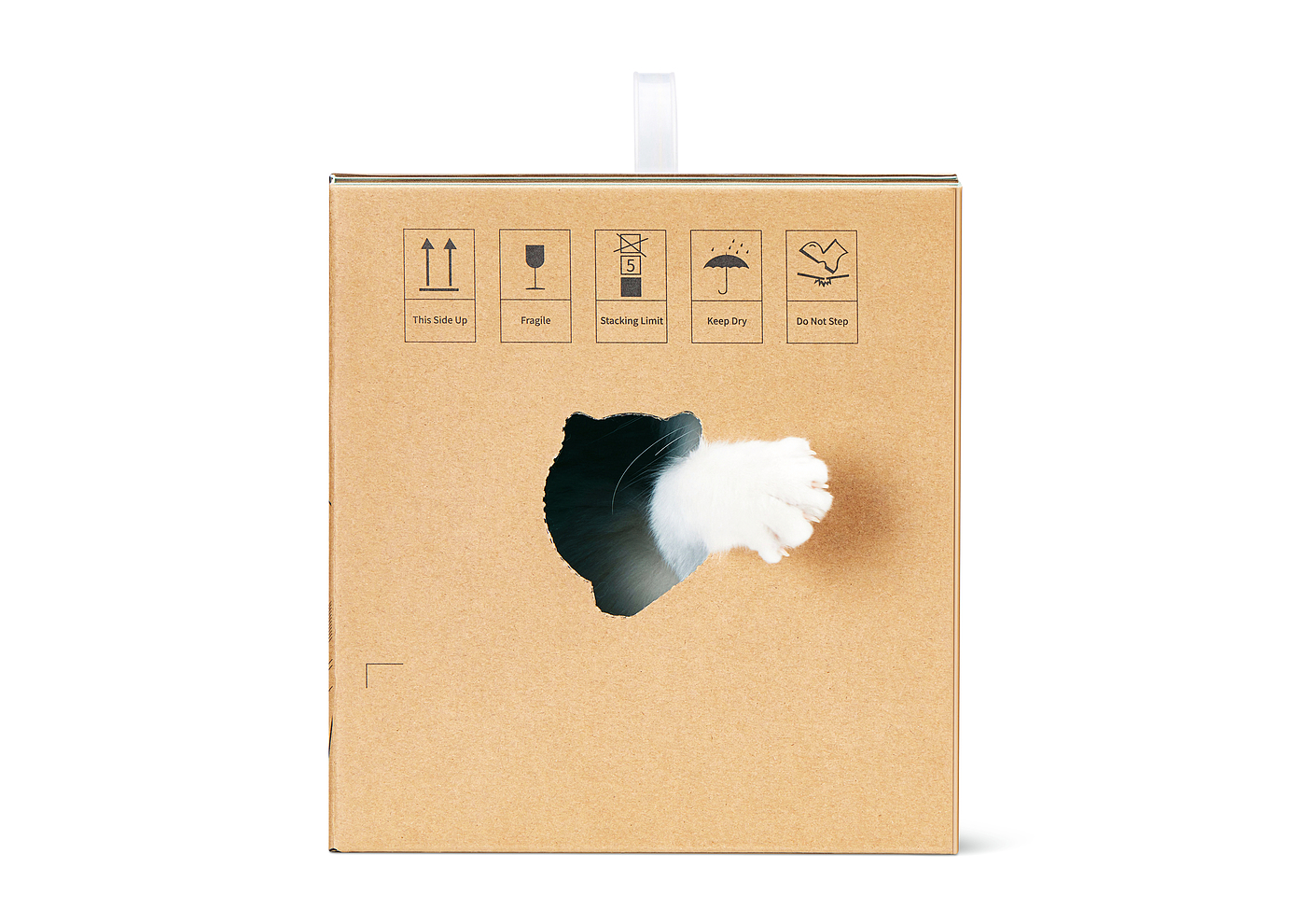 Carton，packing，Cat house，2022 Red Dot Product Design Award，