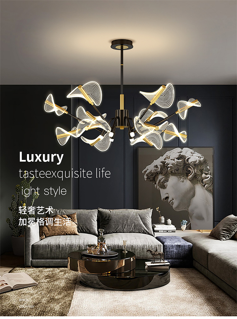 a chandelier，Appearance design，lamps and lanterns，Lighting，product design，lighting，Indoor lamps，