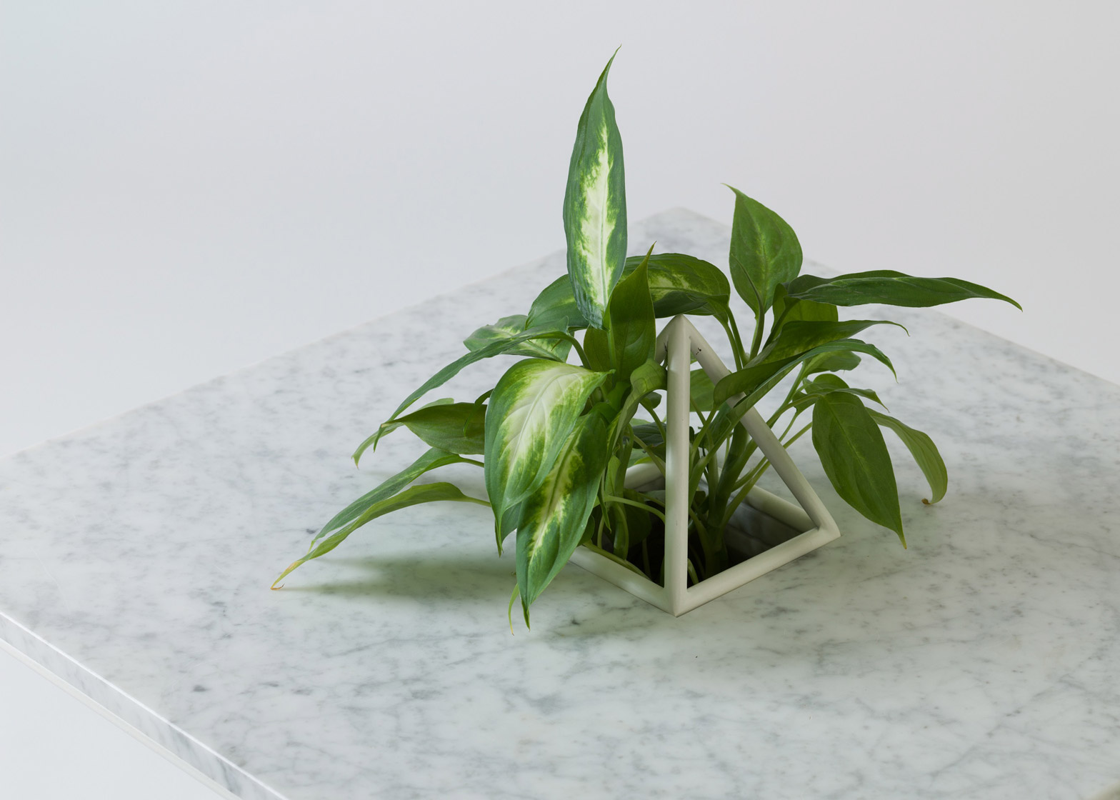 Reprint，indoor，Design，natural，