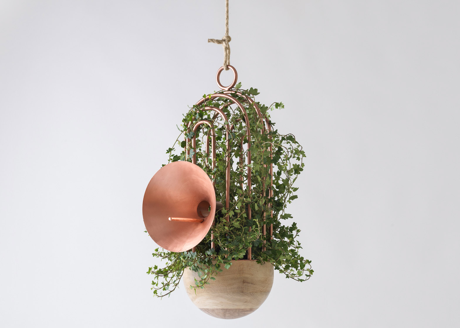 Reprint，indoor，Design，natural，