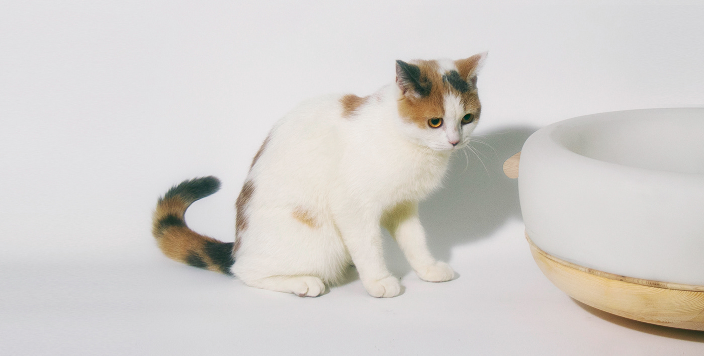 JL CHEN，MEOWOK，Cat furniture，furniture design ，Replaceable，