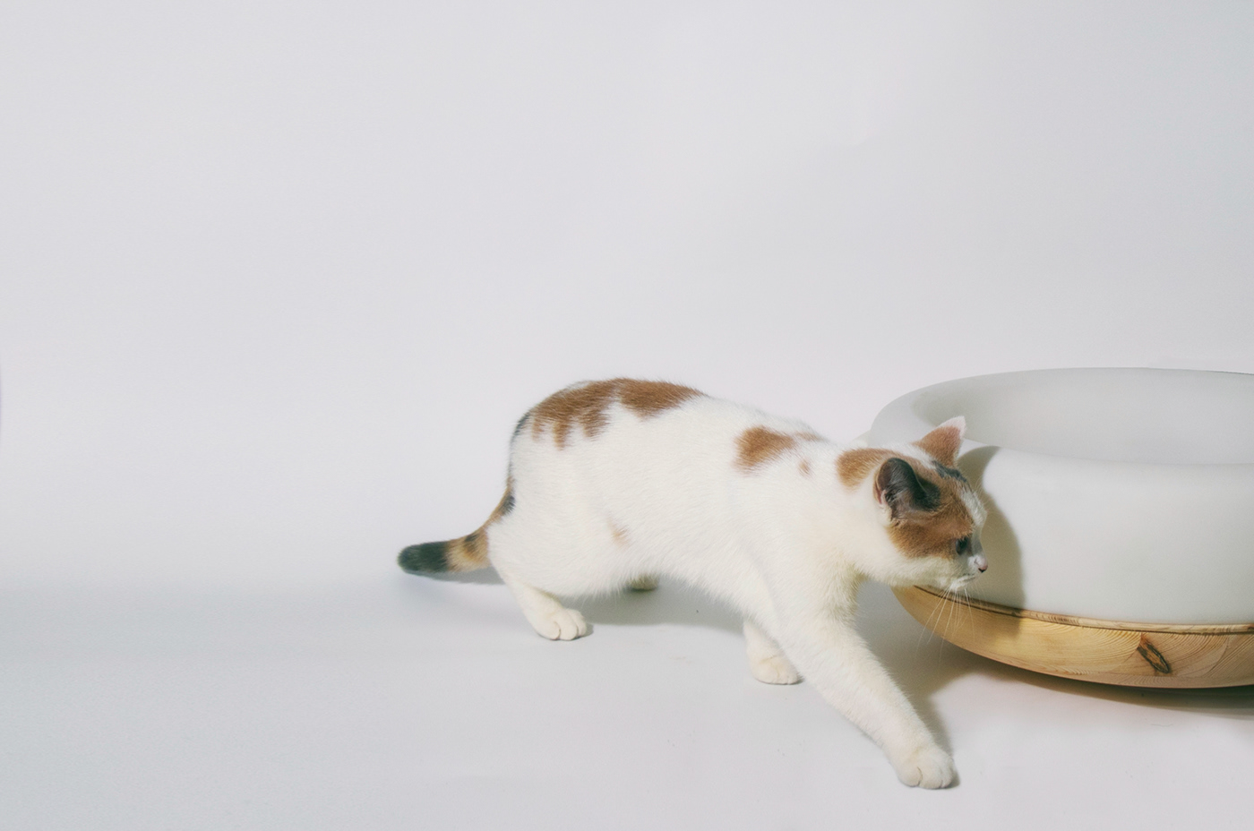 JL CHEN，MEOWOK，Cat furniture，furniture design ，Replaceable，