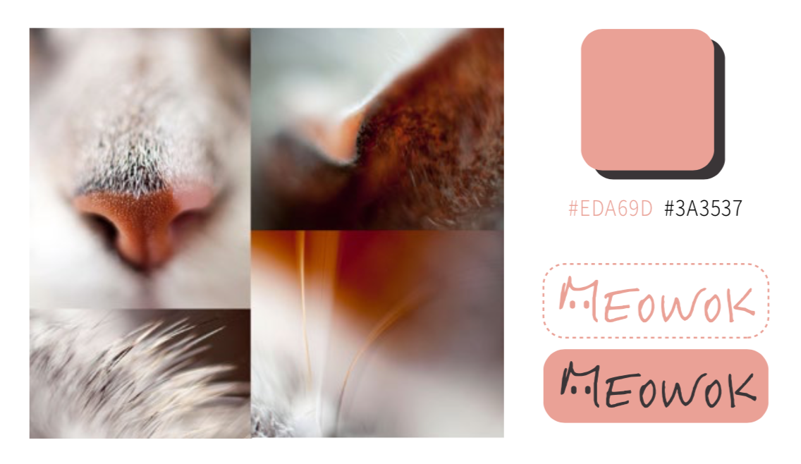 JL CHEN，MEOWOK，Cat furniture，furniture design ，Replaceable，