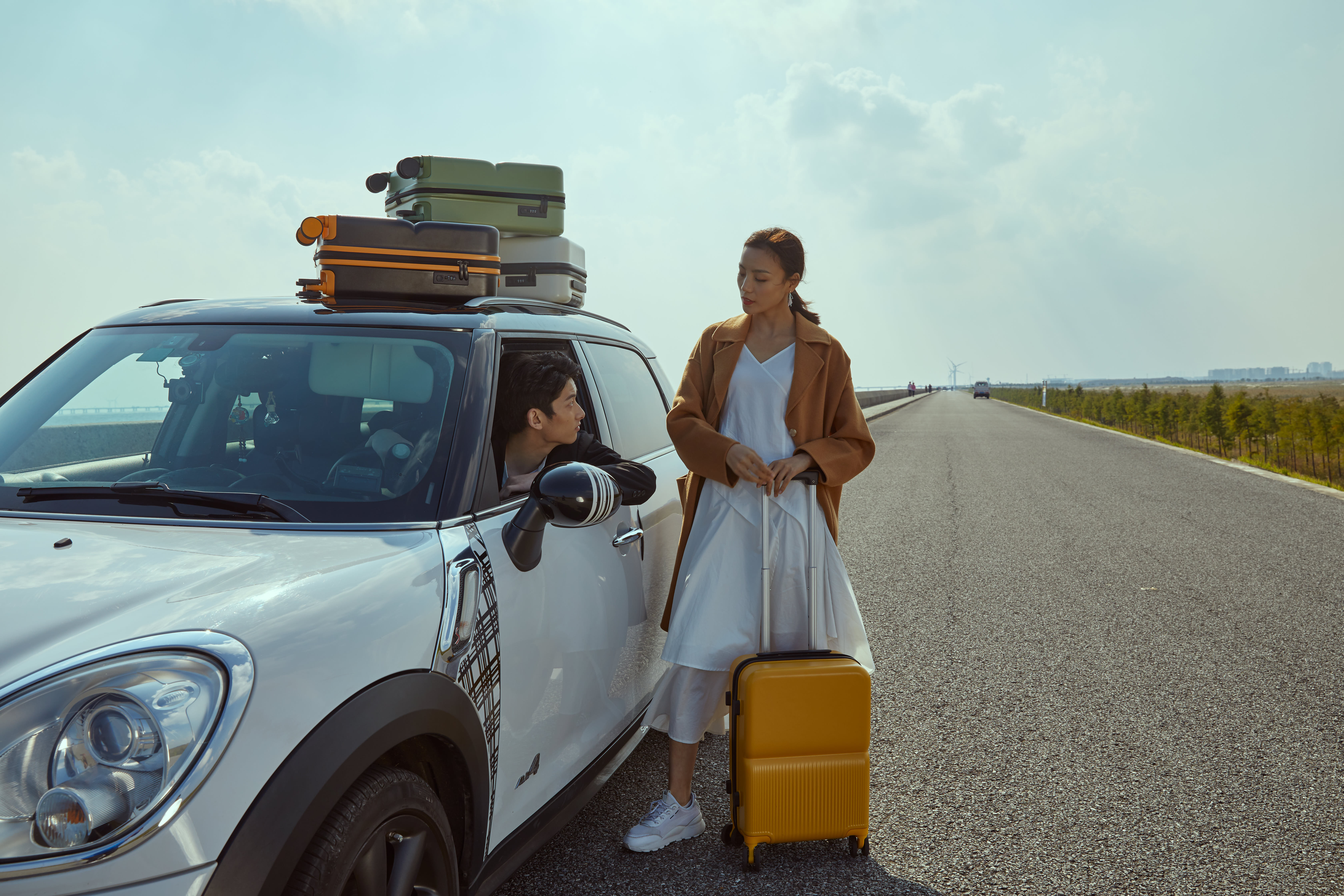 Heat wave design，suitcase，