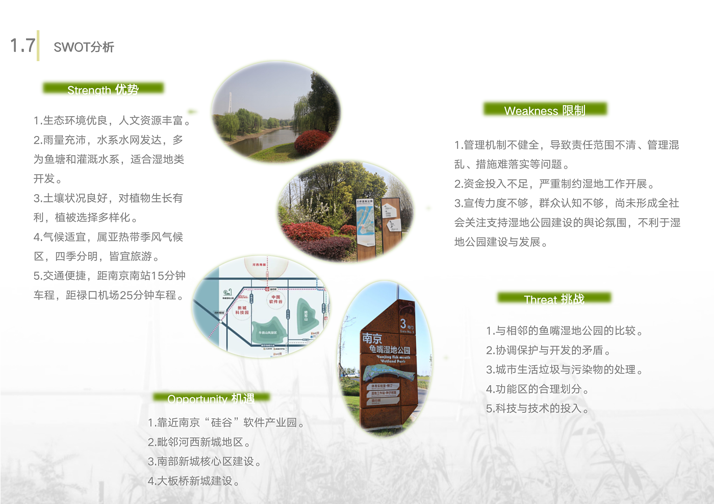 Scenery，Wetland Park，Overall planning，