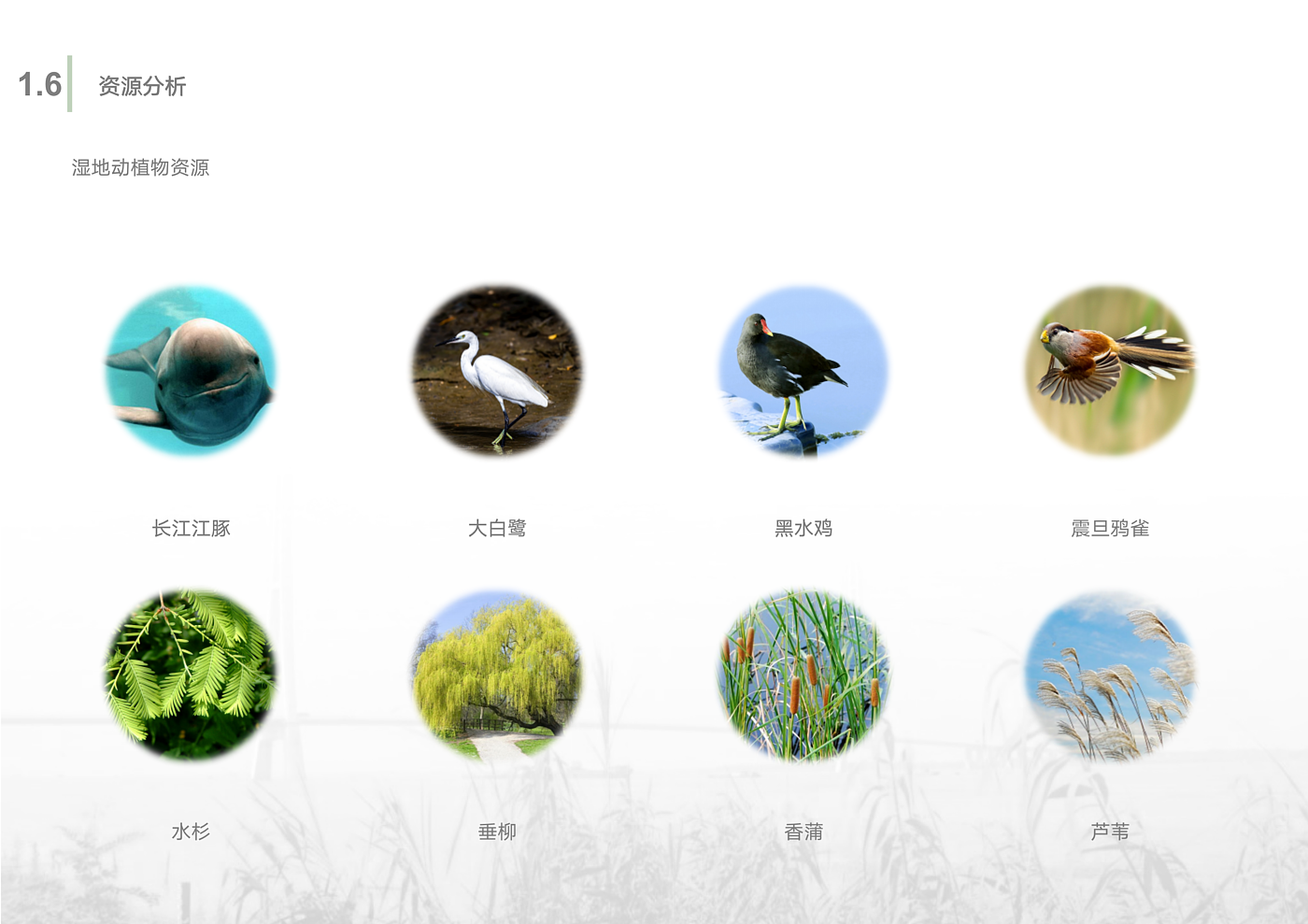 Scenery，Wetland Park，Overall planning，