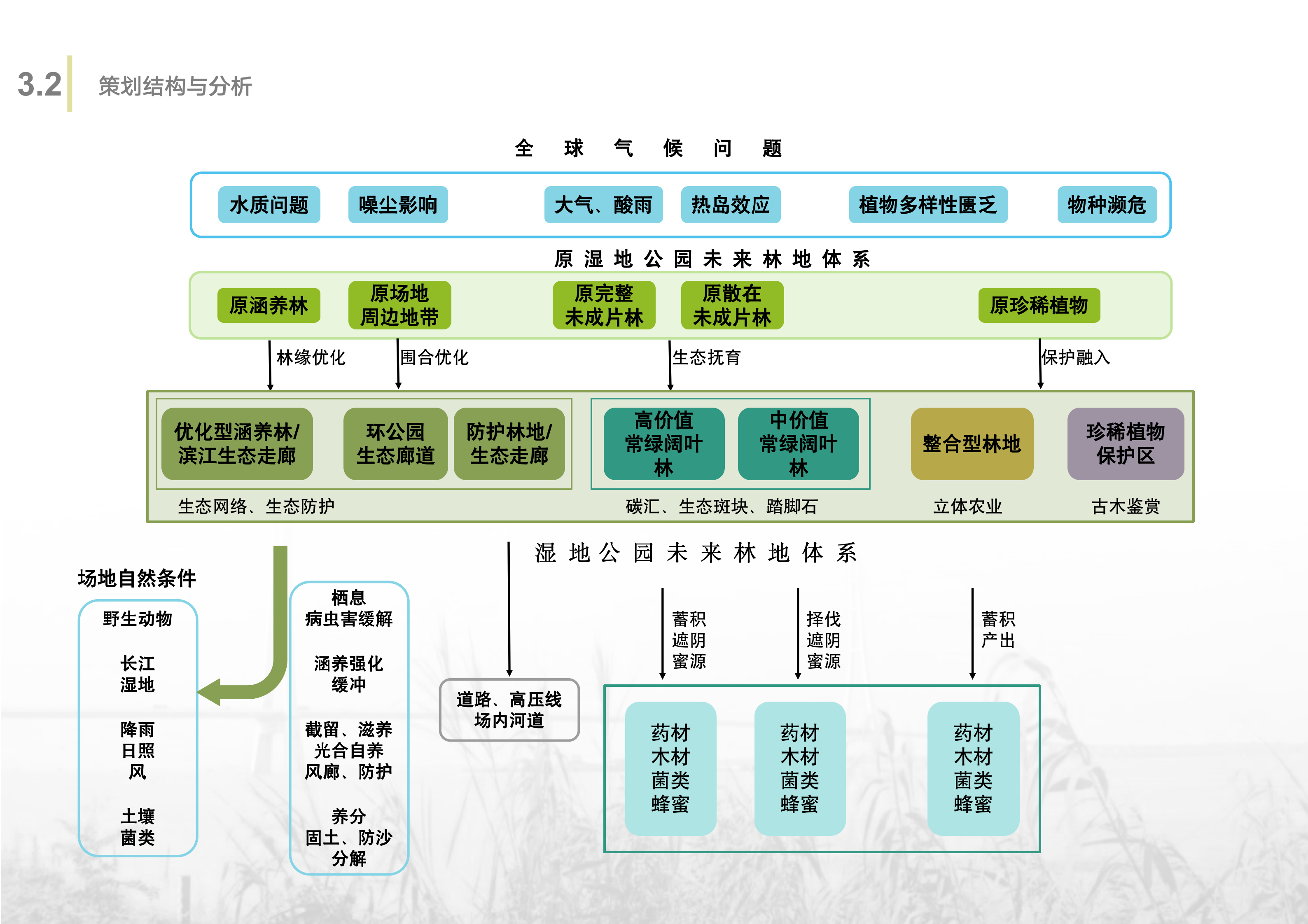 Scenery，Wetland Park，Overall planning，