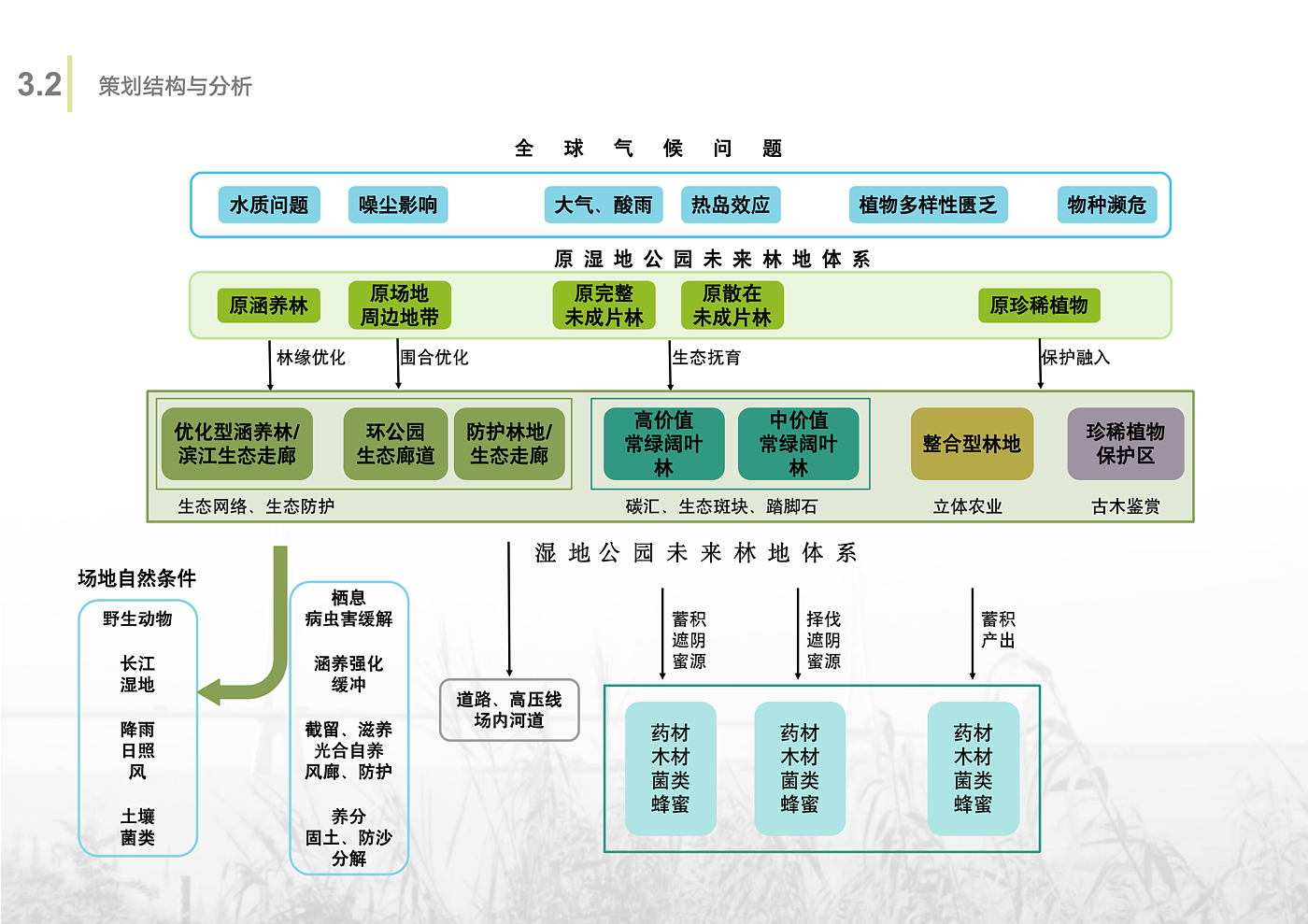 Scenery，Wetland Park，Overall planning，