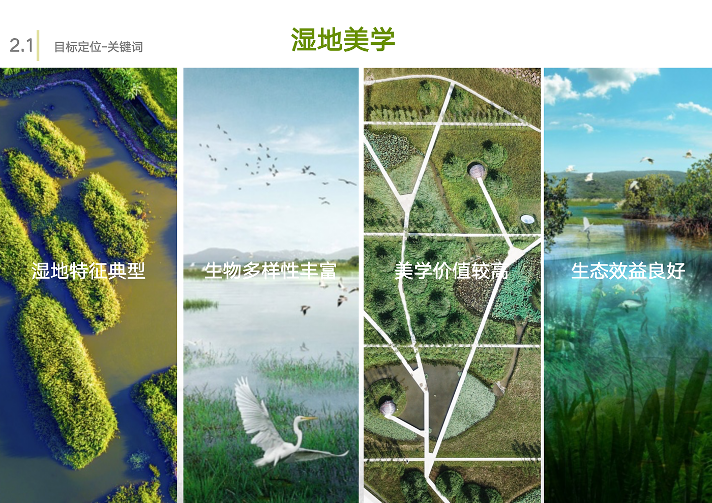 Scenery，Wetland Park，Overall planning，