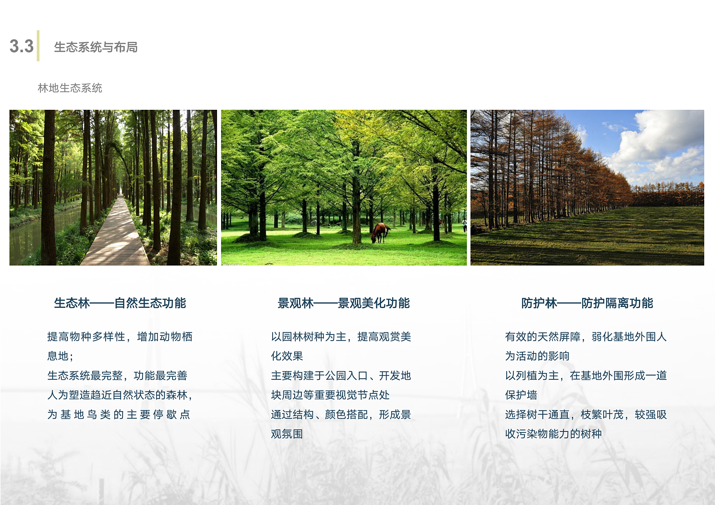 Scenery，Wetland Park，Overall planning，