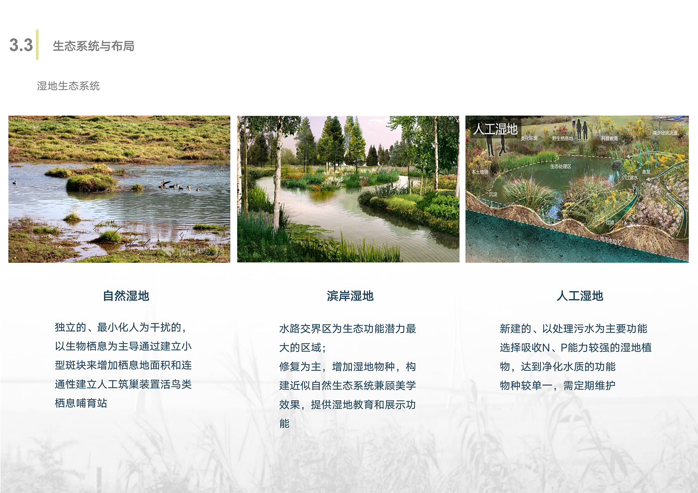 Scenery，Wetland Park，Overall planning，