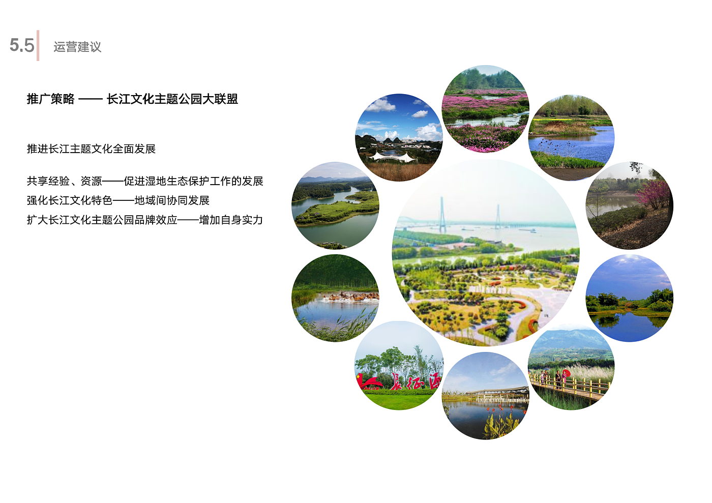 Scenery，Wetland Park，Overall planning，